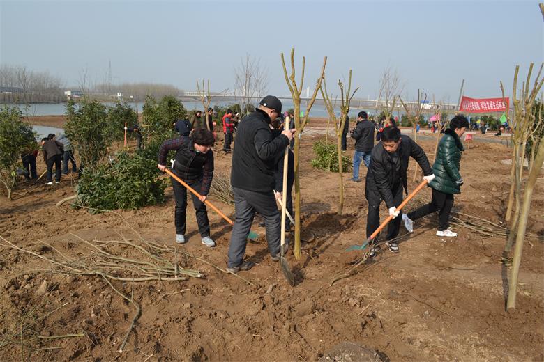 ���˴������֯�ɲ�ְ����������ֲ���